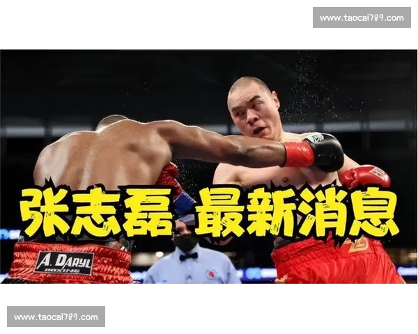 拳击赛场上力与速度的极限碰撞击倒瞬间全记录 拳击赛场上力与速度的极限碰撞击倒瞬间全记录