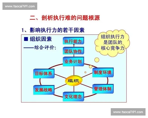 提升团队协作与战术执行力全面解析体育赛场表现
